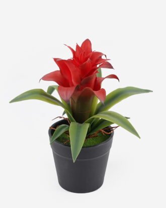 Artificial Table Plants 18*18*16cm Billbergia pyramidalis in PP pot GS-41924001 2024Jul YeahFlower is one of Chinese leading OEM manufacturers and exporters , supplying the silk flowers, wholesale artificial trees Artificial Table Plants 18*18*16cm Billbergia pyramidalis in PP pot GS-41924001 2024Jul YeahFlower is one of Chinese leading OEM manufacturers and exporters , supplying the silk flowers, wholesale artificial trees