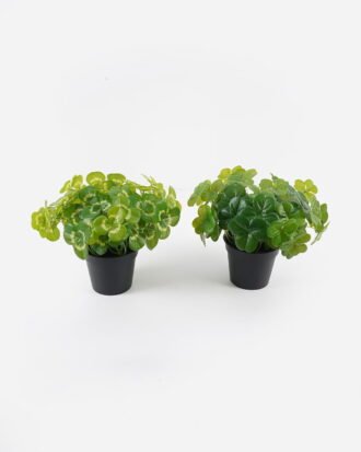 Artificial Table Plants 26*26*26cm Clover in PP pot GS-03324012 2024Jul YeahFlower is one of Chinese leading OEM manufacturers and exporters , supplying the silk flowers, wholesale artificial trees Artificial Table Plants 26*26*26cm Clover in PP pot GS-03324012 2024Jul YeahFlower is one of Chinese leading OEM manufacturers and exporters , supplying the silk flowers, wholesale artificial trees
