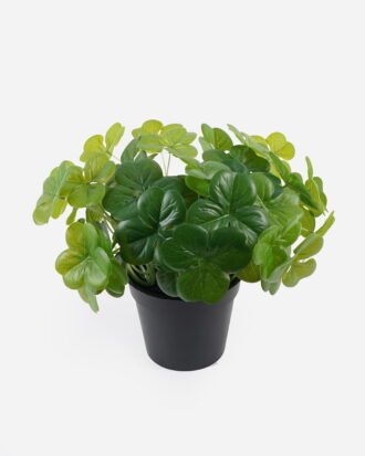 Artificial Table Plants 26*26*26cm Clover in PP pot GS-03324012 2024Jul YeahFlower is one of Chinese leading OEM manufacturers and exporters , supplying the silk flowers, wholesale artificial trees Artificial Table Plants 26*26*26cm Clover in PP pot GS-03324012 2024Jul YeahFlower is one of Chinese leading OEM manufacturers and exporters , supplying the silk flowers, wholesale artificial trees