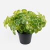 Artificial Table Plants Clover in PP pot GS-03324012_3 Artificial Table Plants 26*26*26cm Clover in PP pot GS-03324012 2024Jul YeahFlower is one of Chinese leading OEM manufacturers and exporters , supplying the silk flowers, wholesale artificial trees