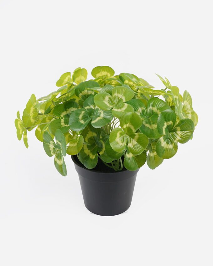 Artificial Table Plants Clover in PP pot GS-03324012_3 Artificial Table Plants 26*26*26cm Clover in PP pot GS-03324012 2024Jul YeahFlower is one of Chinese leading OEM manufacturers and exporters , supplying the silk flowers, wholesale artificial trees