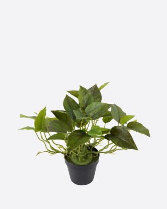 Artificial Table Plants 50*50*30cm Epipremnum aureum in PP pot/33 lvs GS-71023014CT-G6 2024Jul YeahFlower is one of Chinese leading OEM manufacturers and exporters , supplying the silk flowers, wholesale artificial trees Artificial Table Plants 50*50*30cm Epipremnum aureum in PP pot/33 lvs GS-71023014CT-G6 2024Jul YeahFlower is one of Chinese leading OEM manufacturers and exporters , supplying the silk flowers, wholesale artificial trees
