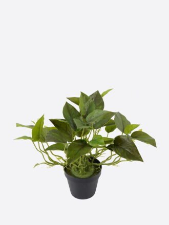 Artificial Table Plants 30*30*35 Hibiscus in PP pot GS-03324018 Potted Flowers&Plants 3,000+ sqm showroom with thousands of artificial flowers, plants & trees ready for global sourcing.
