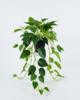 Artificial Table Plants 50*50*75cm Epipremnum aureum in PP pot/81 lvs GS-03324025