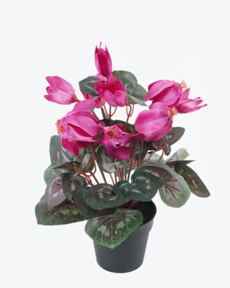 Artificial Table Plants 23*23*30cm Flower in PP pot GS-35024001-R2 2024Jul YeahFlower is one of Chinese leading OEM manufacturers and exporters , supplying the silk flowers, wholesale artificial trees Artificial Table Plants 23*23*30cm Flower in PP pot GS-35024001-R2 2024Jul YeahFlower is one of Chinese leading OEM manufacturers and exporters , supplying the silk flowers, wholesale artificial trees