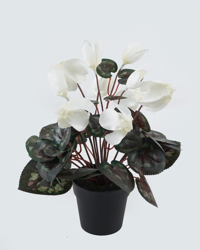 Artificial Table Plants 23*23*30cm Flower in PP pot GS-35024001-W1 2024Jul YeahFlower is one of Chinese leading OEM manufacturers and exporters , supplying the silk flowers, wholesale artificial trees