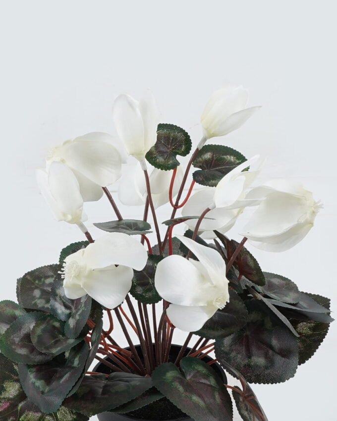 Artificial Table Plants 23*23*30cm Flower in PP pot GS-35024001-W1 2024Jul YeahFlower is one of Chinese leading OEM manufacturers and exporters , supplying the silk flowers, wholesale artificial trees
