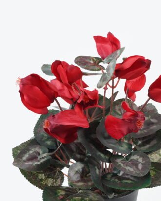 Artificial Table Plants 23*23*30cm Flower in PP pot GS-35024001 2024Jul YeahFlower is one of Chinese leading OEM manufacturers and exporters , supplying the silk flowers, wholesale artificial trees Artificial Table Plants 23*23*30cm Flower in PP pot GS-35024001 2024Jul YeahFlower is one of Chinese leading OEM manufacturers and exporters , supplying the silk flowers, wholesale artificial trees