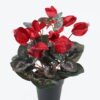 Artificial Table Plants Flower in PP pot GS-35024001_3 Artificial Table Plants 23*23*30cm Flower in PP pot GS-35024001 2024Jul YeahFlower is one of Chinese leading OEM manufacturers and exporters , supplying the silk flowers, wholesale artificial trees