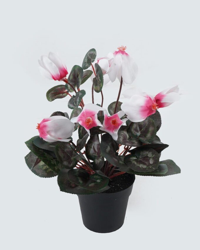 Artificial Table Plants Flower in PP pot GS-35024001_4 Artificial Table Plants 23*23*30cm Flower in PP pot GS-35024001 2024Jul YeahFlower is one of Chinese leading OEM manufacturers and exporters , supplying the silk flowers, wholesale artificial trees