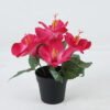 Artificial Table Plants Hibiscus in PP pot GS-03324019 Artificial Table Plants 22*22*26 Hibiscus in PP pot GS-03324019 2024Jul YeahFlower is one of Chinese leading OEM manufacturers and exporters , supplying the silk flowers, wholesale artificial trees