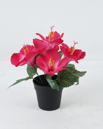 Artificial Table Plants 22*22*26 Hibiscus in PP pot GS-03324019 2024Jul YeahFlower is one of Chinese leading OEM manufacturers and exporters , supplying the silk flowers, wholesale artificial trees Artificial Table Plants 22*22*26 Hibiscus in PP pot GS-03324019 2024Jul YeahFlower is one of Chinese leading OEM manufacturers and exporters , supplying the silk flowers, wholesale artificial trees