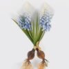 Artificial Table Plants Hyacinthus orientalis 2 bundle GS-41524003CT_3 Artificial Table Plants 10*7*22cm Hyacinthus orientalis *2 bundle GS-41524003CT 2024Jul YeahFlower is one of Chinese leading OEM manufacturers and exporters , supplying the silk flowers, wholesale artificial trees