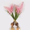 Artificial Table Plants Hyacinthus orientalis 2 bundle GS-41524003CT_4 Artificial Table Plants 10*7*22cm Hyacinthus orientalis *2 bundle GS-41524003CT 2024Jul YeahFlower is one of Chinese leading OEM manufacturers and exporters , supplying the silk flowers, wholesale artificial trees