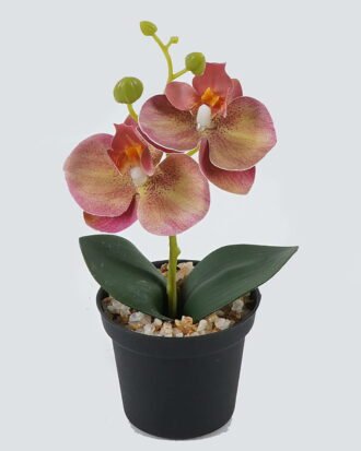 Artificial Table Plants 10*10*20cm Phalaenopsis in pp pot GS-41324002JJA-P1 2024Jul YeahFlower is one of Chinese leading OEM manufacturers and exporters , supplying the silk flowers, wholesale artificial trees