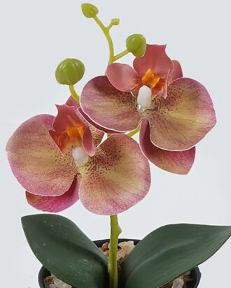 Artificial Table Plants 10*10*20cm Phalaenopsis in pp pot GS-41324002JJA-P1 2024Jul YeahFlower is one of Chinese leading OEM manufacturers and exporters , supplying the silk flowers, wholesale artificial trees