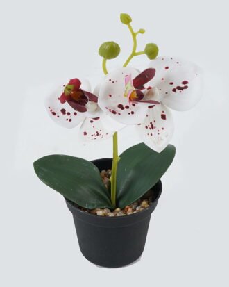 Artificial Table Plants 10*10*20cm Phalaenopsis in pp pot GS-41324002JJA-W1 2024Jul YeahFlower is one of Chinese leading OEM manufacturers and exporters , supplying the silk flowers, wholesale artificial trees