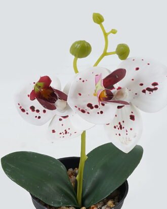 Artificial Table Plants 10*10*20cm Phalaenopsis in pp pot GS-41324002JJA-W1 2024Jul YeahFlower is one of Chinese leading OEM manufacturers and exporters , supplying the silk flowers, wholesale artificial trees