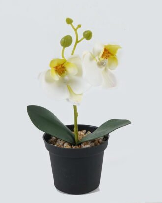 Artificial Table Plants 10*10*20cm Phalaenopsis in pp pot GS-41324002JJA-W2 2024Jul YeahFlower is one of Chinese leading OEM manufacturers and exporters , supplying the silk flowers, wholesale artificial trees