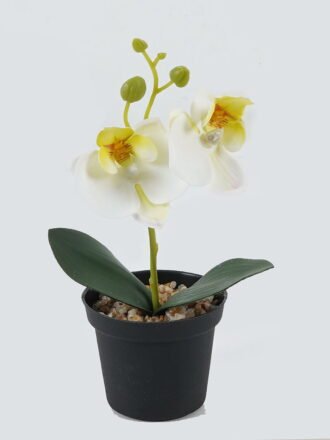 Artificial Table Plants 10*10*20cm Phalaenopsis in pp pot GS-41324002JJA-W1 Potted Flowers&Plants 3,000+ sqm showroom with thousands of artificial flowers, plants & trees ready for global sourcing.