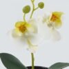 Artificial Table Plants 10*10*20cm Phalaenopsis in pp pot GS-41324002JJA-W2 2024Jul YeahFlower is one of Chinese leading OEM manufacturers and exporters , supplying the silk flowers, wholesale artificial trees