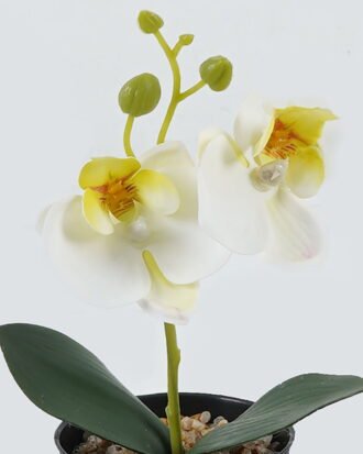 Artificial Table Plants 10*10*20cm Phalaenopsis in pp pot GS-41324002JJA-W2 2024Jul YeahFlower is one of Chinese leading OEM manufacturers and exporters , supplying the silk flowers, wholesale artificial trees