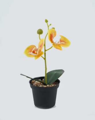 Artificial Table Plants 10*10*20cm Phalaenopsis in pp pot GS-41324002JJA-Y1 2024Jul YeahFlower is one of Chinese leading OEM manufacturers and exporters , supplying the silk flowers, wholesale artificial trees