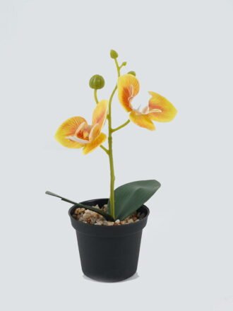 Artificial Table Plants 10*10*20cm Phalaenopsis in pp pot GS-41324002JJA-W2 Potted Flowers&Plants 3,000+ sqm showroom with thousands of artificial flowers, plants & trees ready for global sourcing.