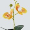 Artificial Table Plants 10*10*20cm Phalaenopsis in pp pot GS-41324002JJA-Y1 2024Jul YeahFlower is one of Chinese leading OEM manufacturers and exporters , supplying the silk flowers, wholesale artificial trees