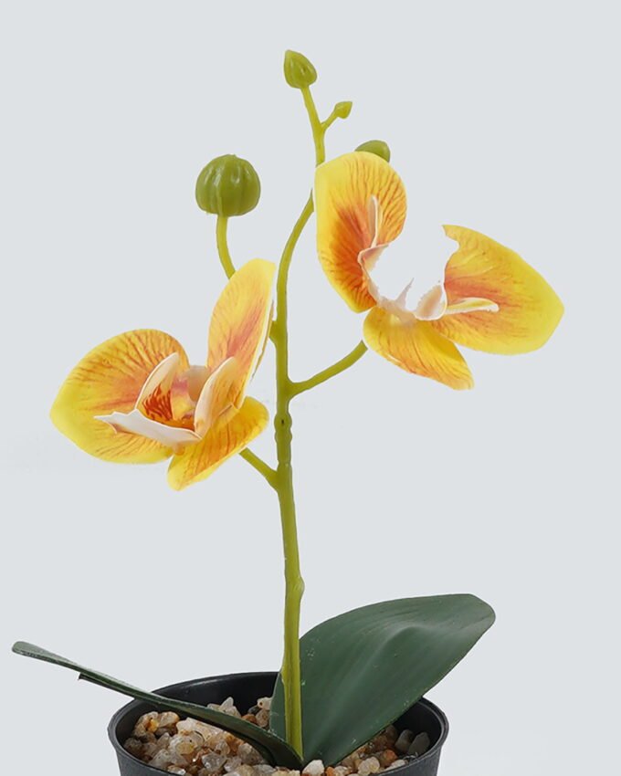 Artificial Table Plants 10*10*20cm Phalaenopsis in pp pot GS-41324002JJA-Y1 2024Jul YeahFlower is one of Chinese leading OEM manufacturers and exporters , supplying the silk flowers, wholesale artificial trees