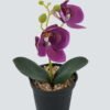 Artificial Table Plants 10*10*20cm Phalaenopsis in pp pot GS-41324002JJA-Z1 2024Jul YeahFlower is one of Chinese leading OEM manufacturers and exporters , supplying the silk flowers, wholesale artificial trees