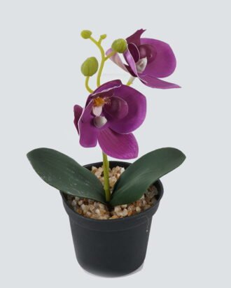 Artificial Table Plants 10*10*20cm Phalaenopsis in pp pot GS-41324002JJA-Z1 2024Jul YeahFlower is one of Chinese leading OEM manufacturers and exporters , supplying the silk flowers, wholesale artificial trees
