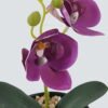 Artificial Table Plants 10*10*20cm Phalaenopsis in pp pot GS-41324002JJA-Z1 2024Jul YeahFlower is one of Chinese leading OEM manufacturers and exporters , supplying the silk flowers, wholesale artificial trees