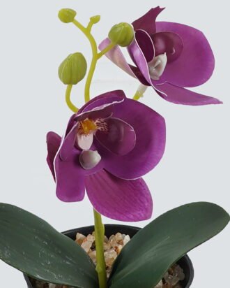 Artificial Table Plants 10*10*20cm Phalaenopsis in pp pot GS-41324002JJA-Z1 2024Jul YeahFlower is one of Chinese leading OEM manufacturers and exporters , supplying the silk flowers, wholesale artificial trees