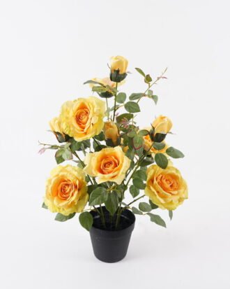 Artificial Table Plants 40*40*70cm Rose *12 in PP pot GS-15424013CT-Y1
