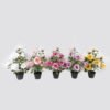 Artificial Table Plants 40*40*70cm Rose *12 in PP pot GS-15424013CT 2024Jul YeahFlower is one of Chinese leading OEM manufacturers and exporters , supplying the silk flowers, wholesale artificial trees