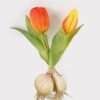 Artificial Table Plants 10*10*19cm Tulip *2 Single stem GS-41524002CT 2024Jul YeahFlower is one of Chinese leading OEM manufacturers and exporters , supplying the silk flowers, wholesale artificial trees