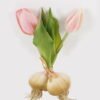Artificial Table Plants 10*10*19cm Tulip *2 Single stem GS-41524002CT 2024Jul YeahFlower is one of Chinese leading OEM manufacturers and exporters , supplying the silk flowers, wholesale artificial trees