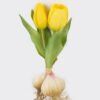 Artificial Table Plants 10*10*19cm Tulip *2 Single stem GS-41524002CT 2024Jul YeahFlower is one of Chinese leading OEM manufacturers and exporters , supplying the silk flowers, wholesale artificial trees