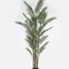 Artificial Tree 210cm Kwai tree *6 in PP pot/23 lvs GS-59523132-210-UV 2024Jul YeahFlower is one of Chinese leading OEM manufacturers and exporters , supplying the silk flowers, wholesale artificial trees
