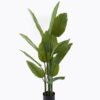 Artificial Tree 65*90cm Canna *3 in PP pot/9 lvs GS-30424010CT-G1 2024Jul YeahFlower is one of Chinese leading OEM manufacturers and exporters , supplying the silk flowers, wholesale artificial trees