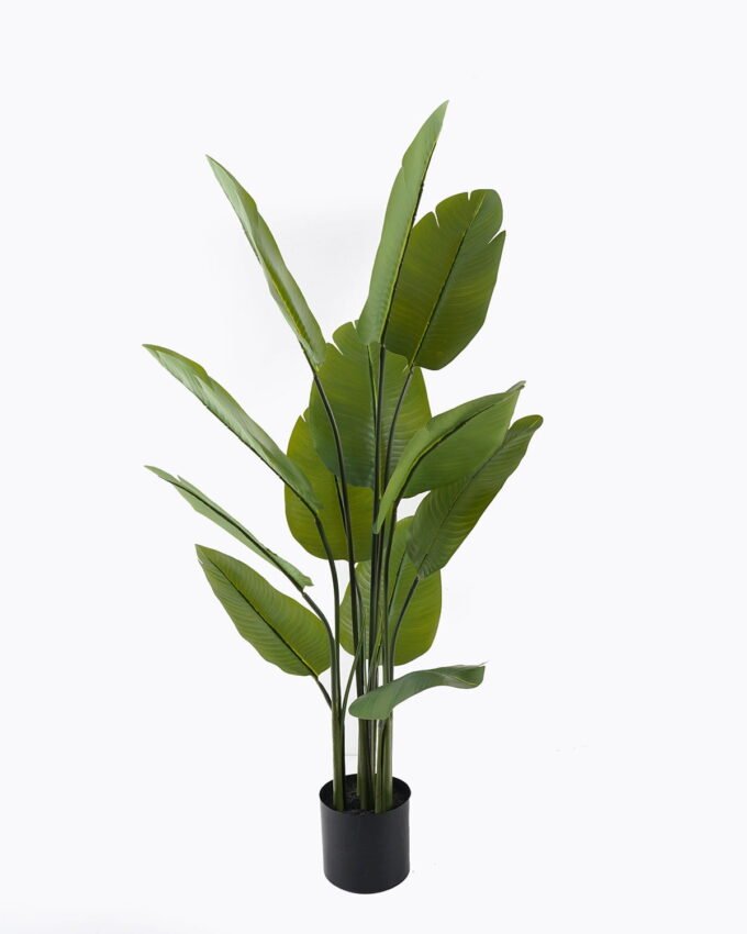Artificial Tree 65*90cm Canna *3 in PP pot/9 lvs GS-30424010CT-G1 2024Jul YeahFlower is one of Chinese leading OEM manufacturers and exporters , supplying the silk flowers, wholesale artificial trees