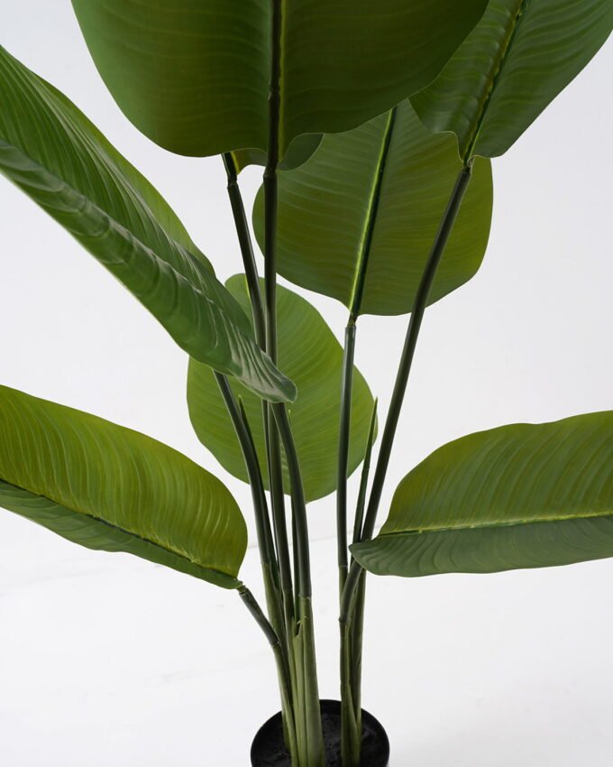 Artificial Tree 65*90cm Canna *3 in PP pot/9 lvs GS-30424010CT-G1 2024Jul YeahFlower is one of Chinese leading OEM manufacturers and exporters , supplying the silk flowers, wholesale artificial trees