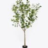 Artificial Tree Eucalyptus in PP pot GS-69424001KD_1 Artificial Tree 90*90*207cm Eucalyptus in PP pot GS-69424001KD 2024Jul YeahFlower is one of Chinese leading OEM manufacturers and exporters , supplying the silk flowers, wholesale artificial trees