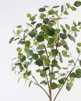 Artificial Tree 70*70*150cm Eucalyptus in PP pot GS-69424003KD 2024Jul YeahFlower is one of Chinese leading OEM manufacturers and exporters , supplying the silk flowers, wholesale artificial trees Artificial Tree 70*70*150cm Eucalyptus in PP pot GS-69424003KD 2024Jul YeahFlower is one of Chinese leading OEM manufacturers and exporters , supplying the silk flowers, wholesale artificial trees