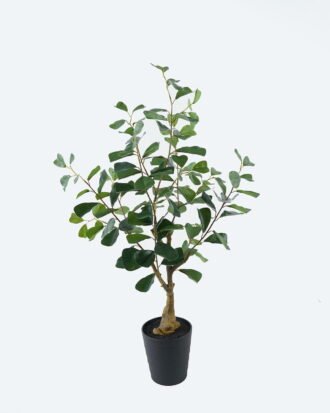 Artificial Tree 40*40*80cm Ficus in PP pot GS-69424010 2024Jul YeahFlower is one of Chinese leading OEM manufacturers and exporters , supplying the silk flowers, wholesale artificial trees