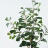 Artificial Tree 40*40*80cm Ficus in PP pot GS-69424010 2024Jul YeahFlower is one of Chinese leading OEM manufacturers and exporters , supplying the silk flowers, wholesale artificial trees