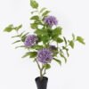 Artificial Tree Hydrangea 4 in PP pot GS-15424011CT-Z1_1 Artificial Tree 55*55*108cm Hydrangea *4 in PP pot GS-15424011CT-Z1 2024Jul YeahFlower is one of Chinese leading OEM manufacturers and exporters , supplying the silk flowers, wholesale artificial trees