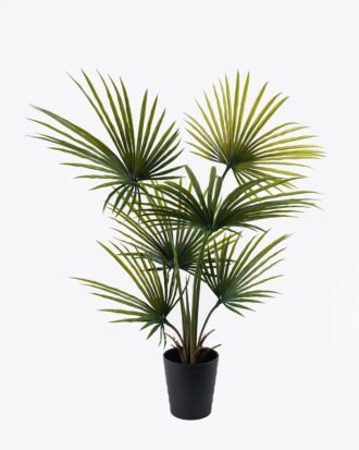 Artificial Tree 90*90*130cm Kwai Palm in PP pot/6 lvs GS-59523150CT 2024Jul YeahFlower is one of Chinese leading OEM manufacturers and exporters , supplying the silk flowers, wholesale artificial trees