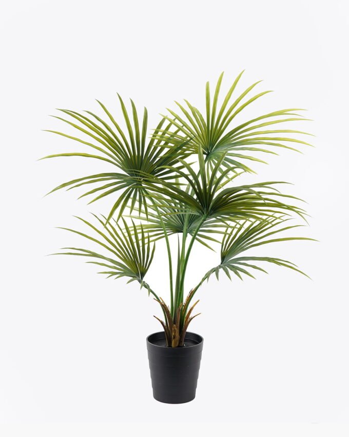 Artificial Tree Kwai Palm in PP pot 6 lvs GS-59523150CT_12 Artificial Tree 90*90*130cm Kwai Palm in PP pot/6 lvs GS-59523150CT 2024Jul YeahFlower is one of Chinese leading OEM manufacturers and exporters , supplying the silk flowers, wholesale artificial trees